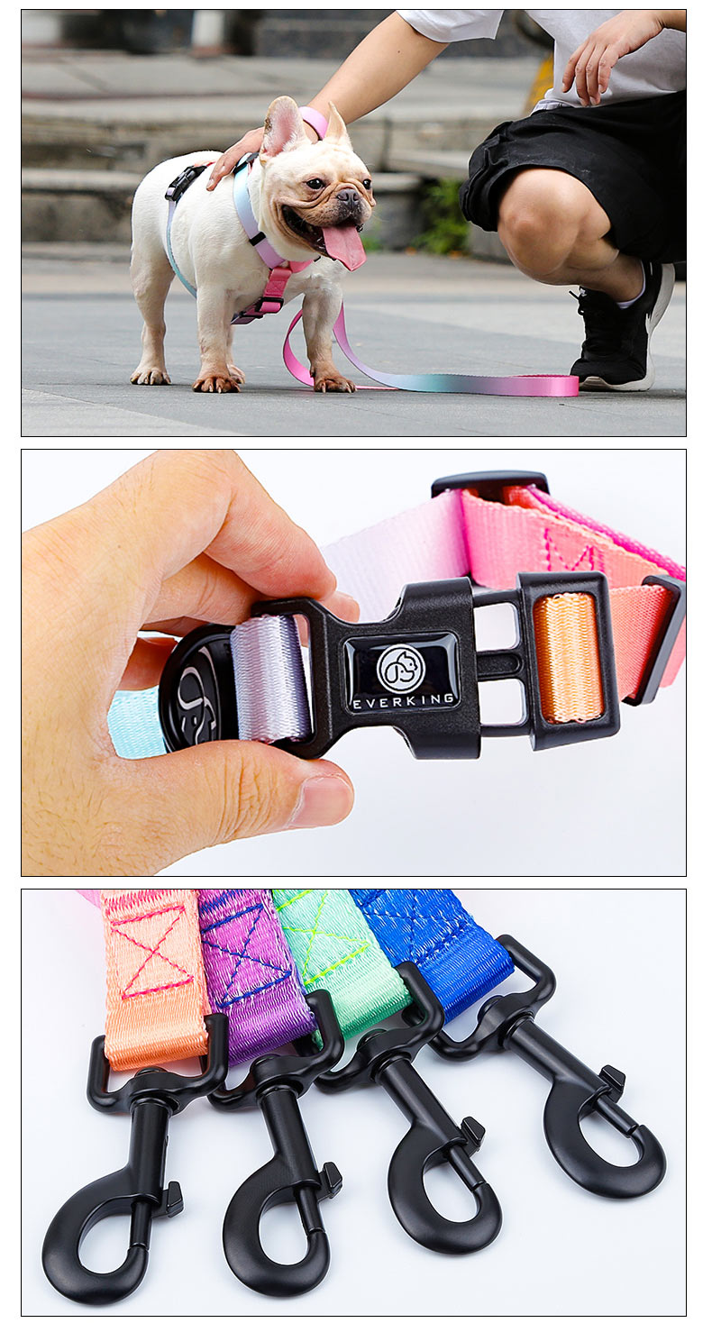 Dog nylon collor with sublimation logo.jpg